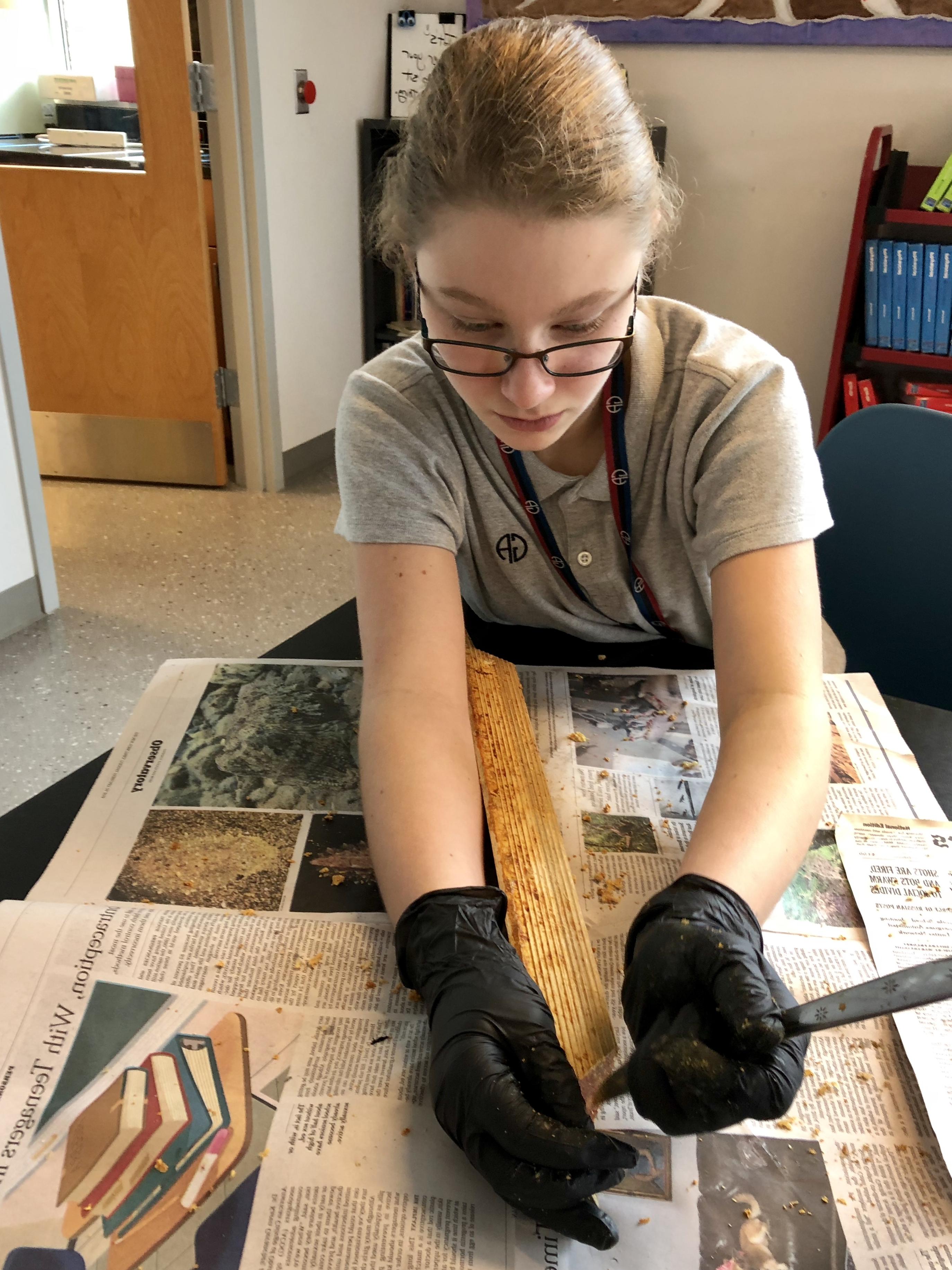 Middle School Green Ambassadors Clean Bee Frames